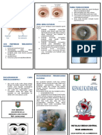 Leaflet Katarak.pdf