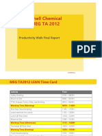 Shell Chemical MEG TA 2012: Productivity Walk Final Report