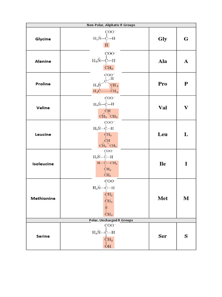 Amino Acids | PDF