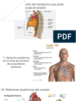 4.en La Clasificación Del Mediastino Que Parte Ocupa El Corazón