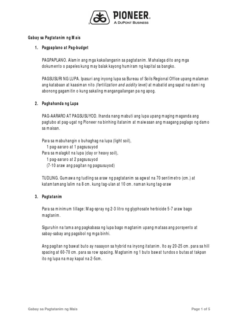 Guide For Corn Planting PDF