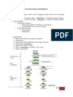 Rangkuman Metabolisme Karbohidrat