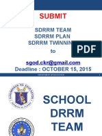 _drrm_team_twinning___plan.pptx