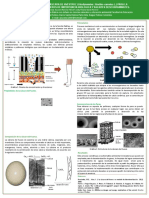 Poster Biopolimeros