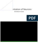 Differentiation of Neurons