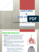 Anrad Jantung & Cor Analisa