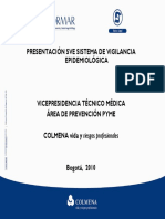 Presentacion_SVE (1).pdf