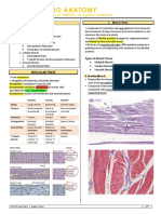 Histo 1.9 Muscle Tissue