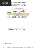 Biosynthesis of Lipid Membrane