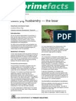 Basic Pig Husbandry - The Boar - Primefact 69-Final