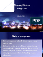 Sistem-Integumen KEL 1