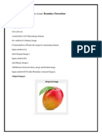 No Table of Figures Entries Found. Boundary Extraction:: Source Code