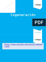 8_Cogeneracion 2019_-236329817