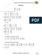 Matrices Mate Iii