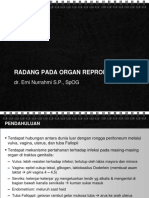 Radang Pada Alat Reproduksi