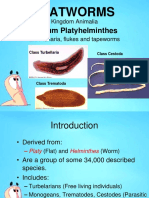 Flatworms: Phylum Platyhelminthes