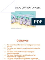 Chemical Context of Cell