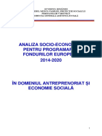 ANALIZA ANTREPRENORIAT SI ECONOMIE SOCIALA.pdf
