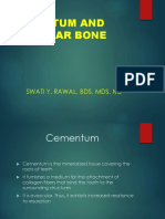 Cementum and Alv Bone 2