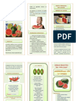 Triptico LA SANDIA PDF