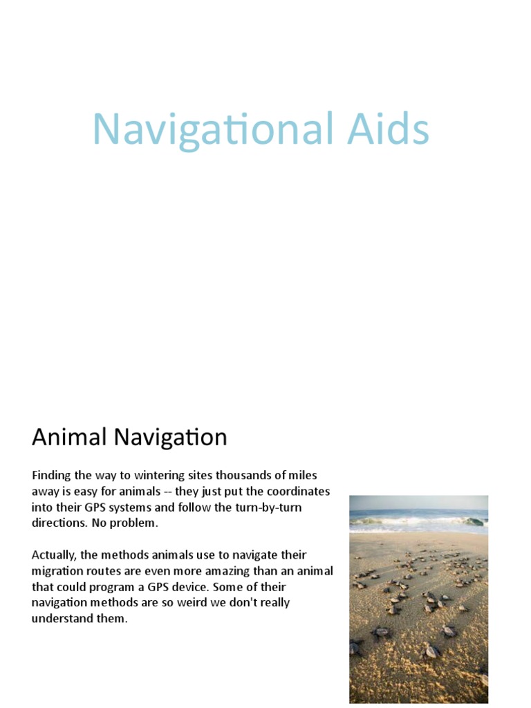 Animal Navigation Techniques Explained | PDF | Compass | Navigation