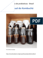 331629242-Manual-do-Kombucha (1).pdf