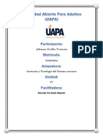 Tarea 4 de Anatomia