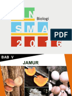 Bab 5 Jamur.pptx