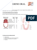 Especialidad Higiene Oral