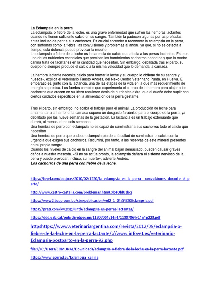 La Eclampsia en La Perra PDF Perros Amamantamiento