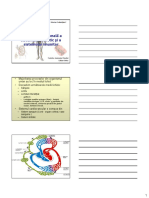 Anatomia Sistemului Limfatic 2008 Mic PDF