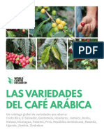 Las Variedades Del Cafe Arabica