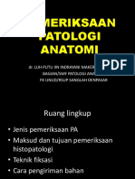untuk Pemeriksaan Patologi Anatomi