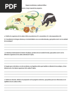 Repaso Ecosistemas y Cadenas Tróficas
