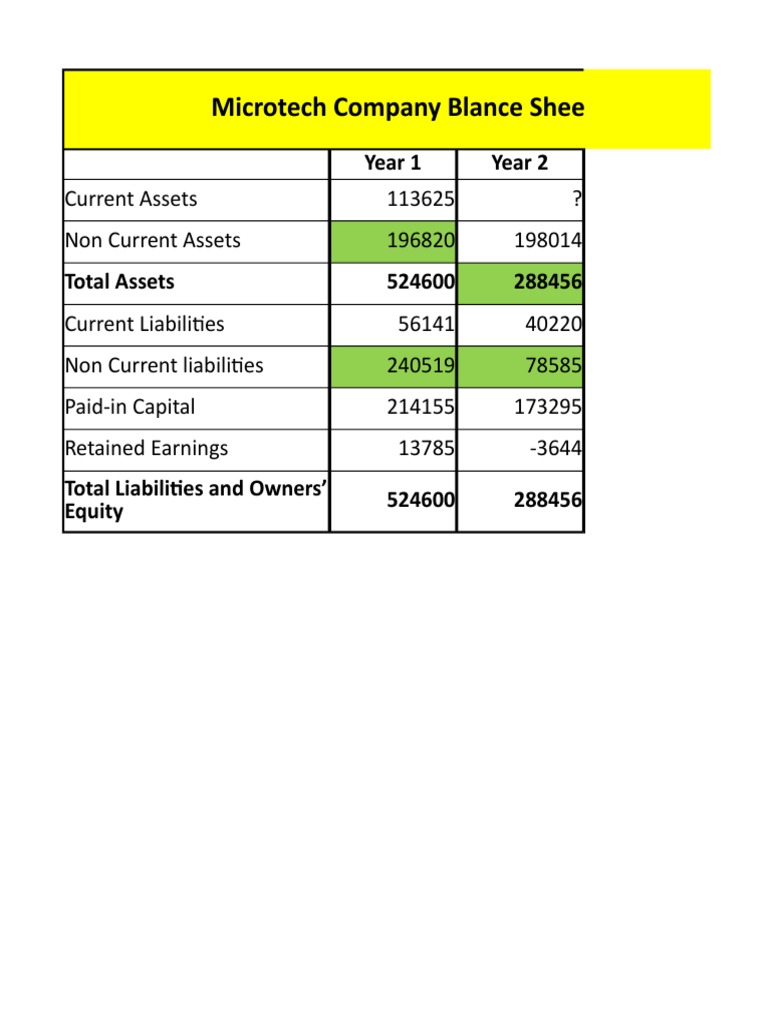 Microtech Company Blance Sheet - (HW2) : Year 1 Year 2 | PDF ...