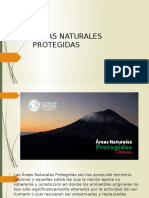 Áreas Naturales Protegidas