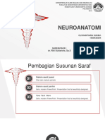 Neuroanatomi: Olvhantiara Sukma 1608438304