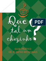 Práticas Integrativas - Capa (1)