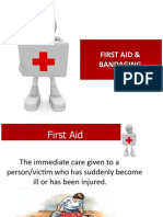 First Aid & Bandaging