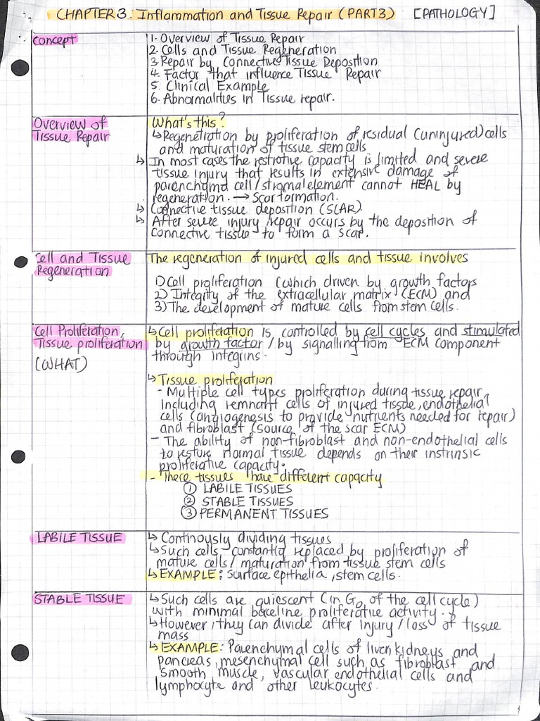 Histology Chapter 1 | PDF