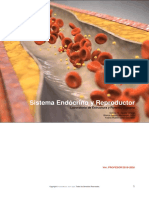 Sistema Endocrino y Reproductor ESTUDIANTE