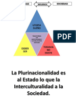 Plurinacionalidad