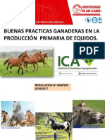 BPG en Diferentes Especies