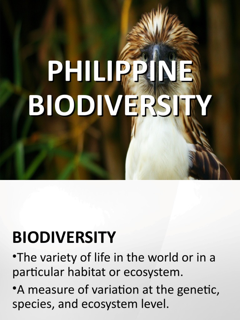 thesis about biodiversity in the philippines