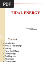 Tidal Energy PDF