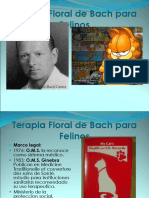 Floresdebachparafelinos