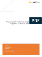 Programa de Formación de Competencias SySO