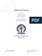 Algebraic Curves Report