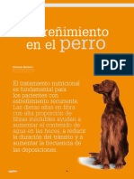 CV 39 Estrenimiento Perro PDF