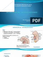 Desarrollo Del Sistema Dentario